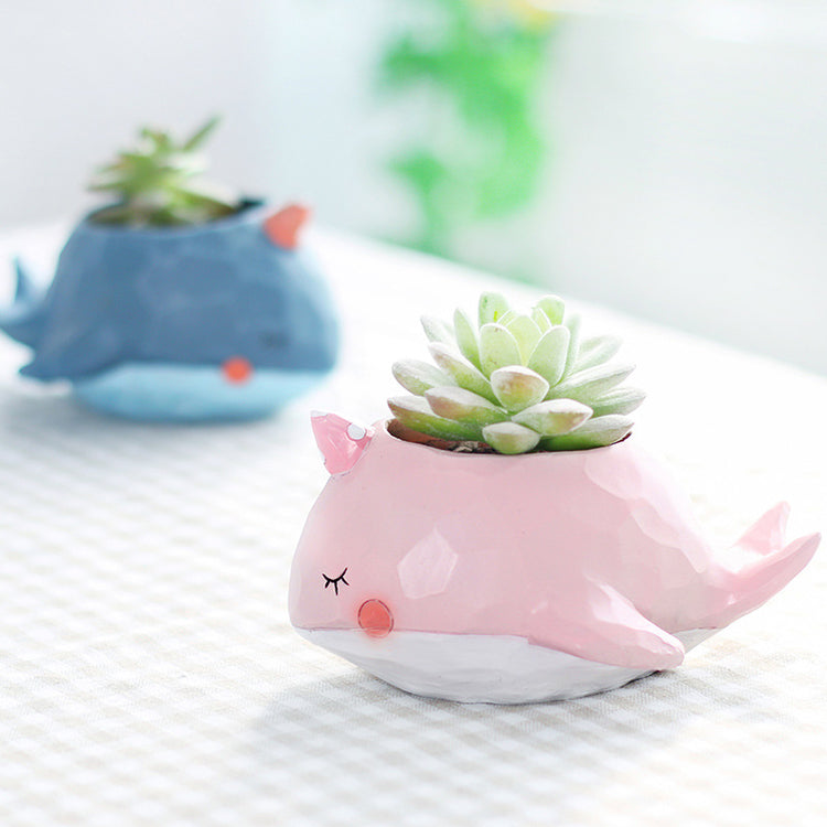 Cute Whale island + Elephant Succulent Pots
