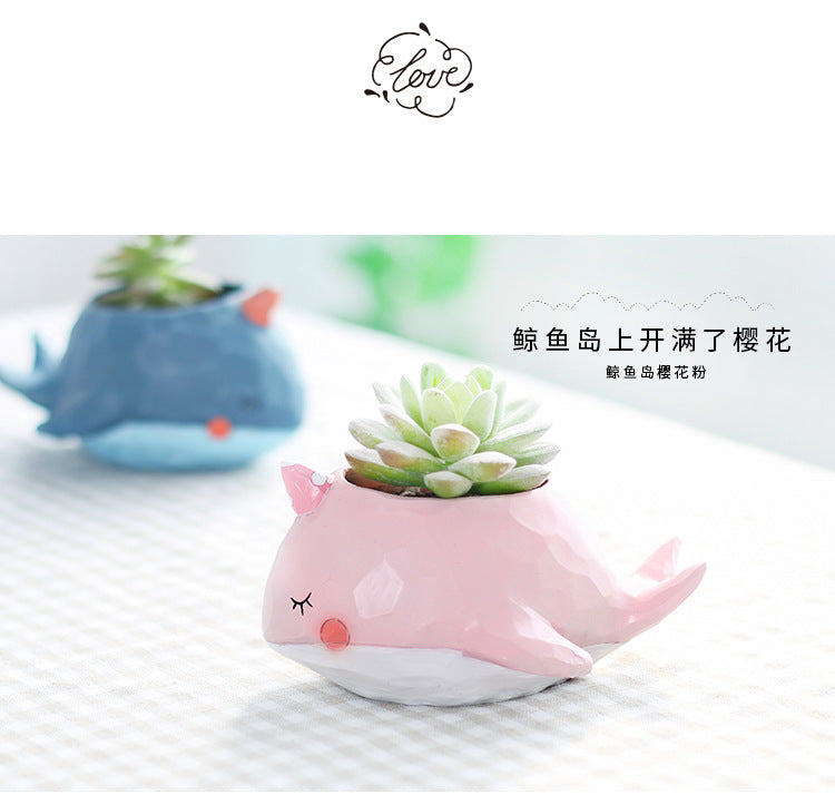 Cute Whale island + Elephant Succulent Pots