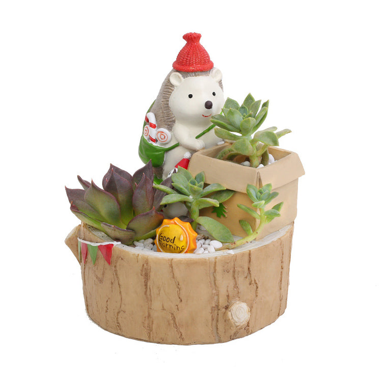 Cute Hedgehog Succulent Pots