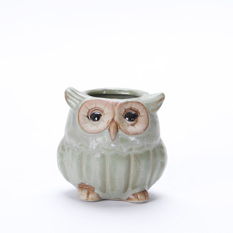 Cute Owl Succulent Pots