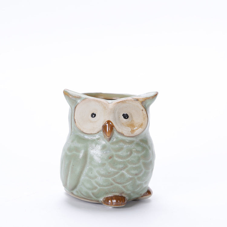 Cute Owl Succulent Pots