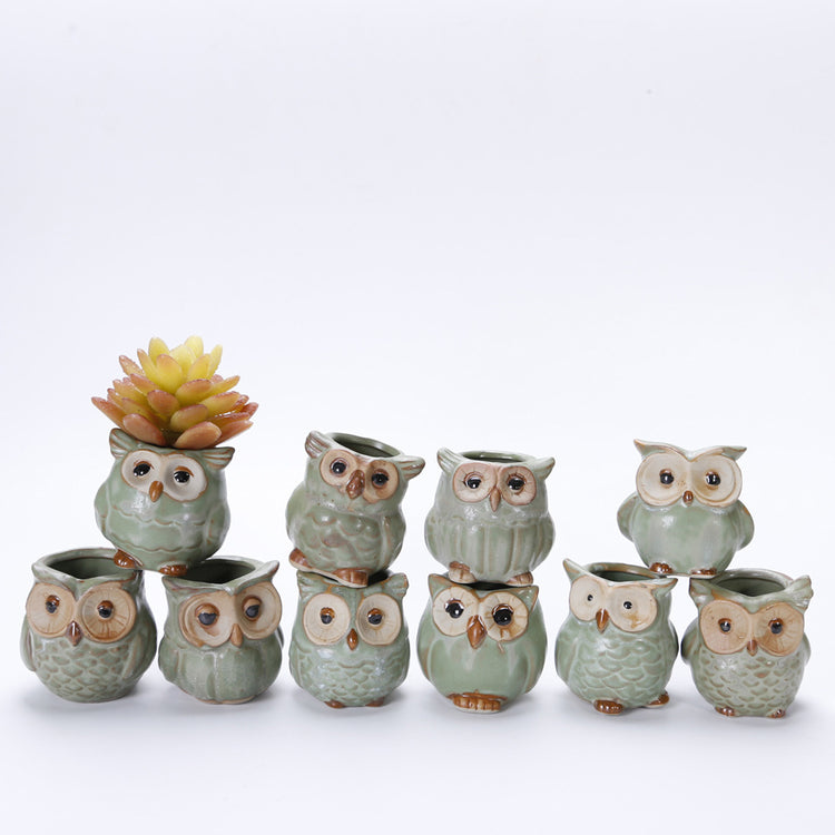 Cute Owl Succulent Pots