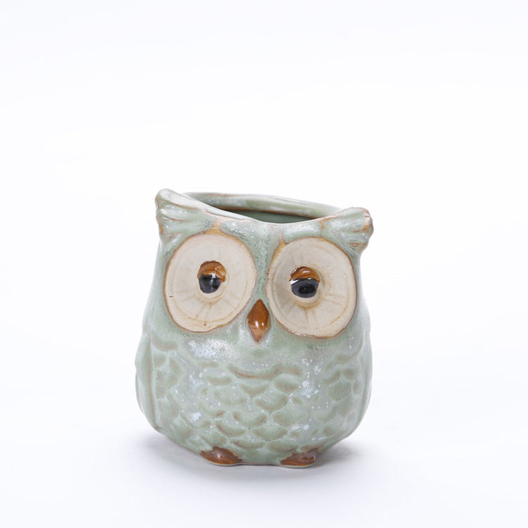 Cute Owl Succulent Pots