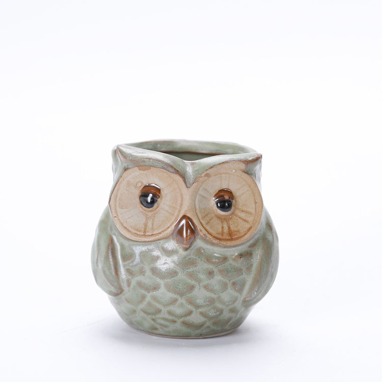 Cute Owl Succulent Pots