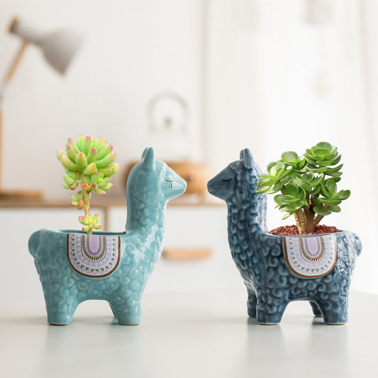 Succulent Pot Alpaca Cartoon llama