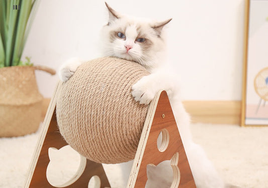 Scratching Ball Toy Round Ball Interactive Cat Toys Cat Scratch