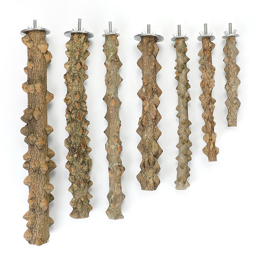 Bird Perch Parrot Stand Natural Wood Perch Parrot Toy - pepper tree