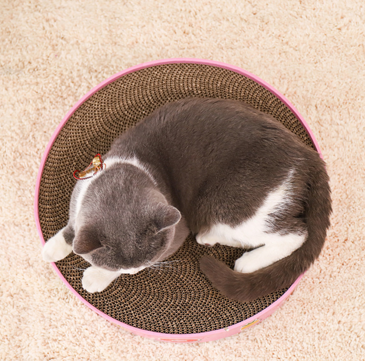 Round Cat Scratcher