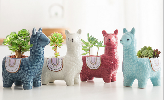 Succulent Pot Alpaca Cartoon llama