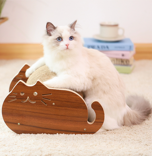 Scratching Ball Toy Round Ball Interactive Cat Toys Cat Scratch