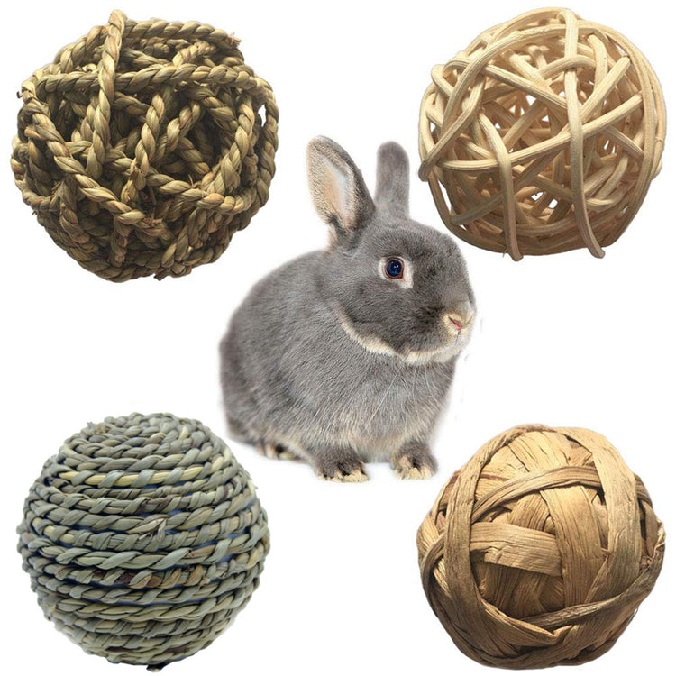 Natural Parrot Chew Toys Rabbits Bird Parrot Play Rattan Balls