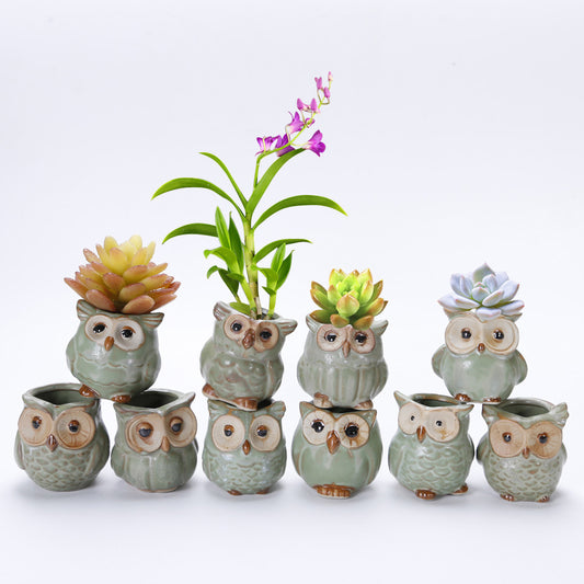 Cute Owl Succulent Pots