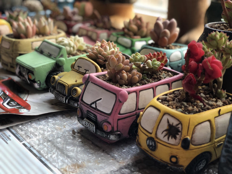 car succulent Cute Car Succulent Pots – Charliebaba